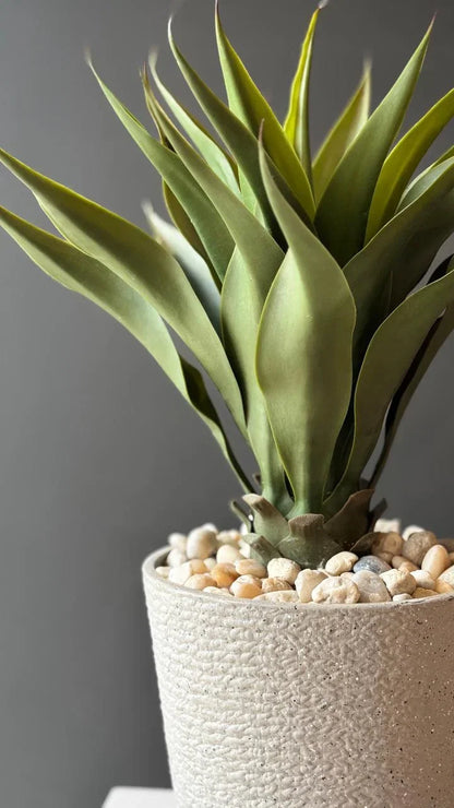 Premium Artificial Agave BW55