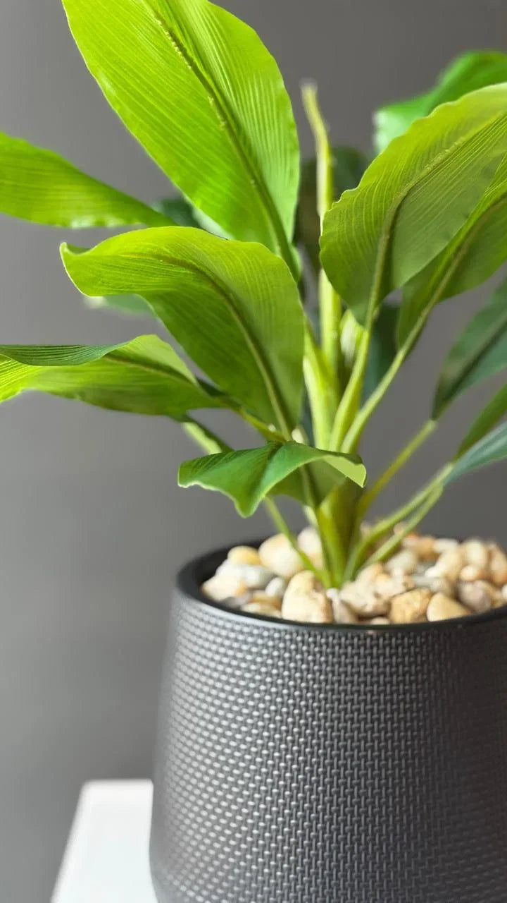 Woven-Textured Black Pot BW58