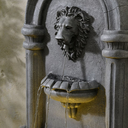 Classic Lion Head Wall-Mounted Water Fountain with LED Light BW20